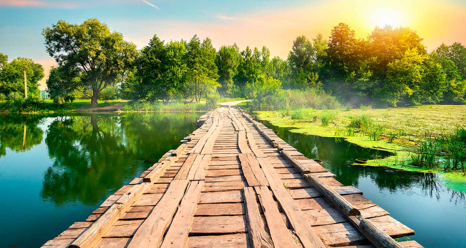Camino de madera que atraviesa un lago