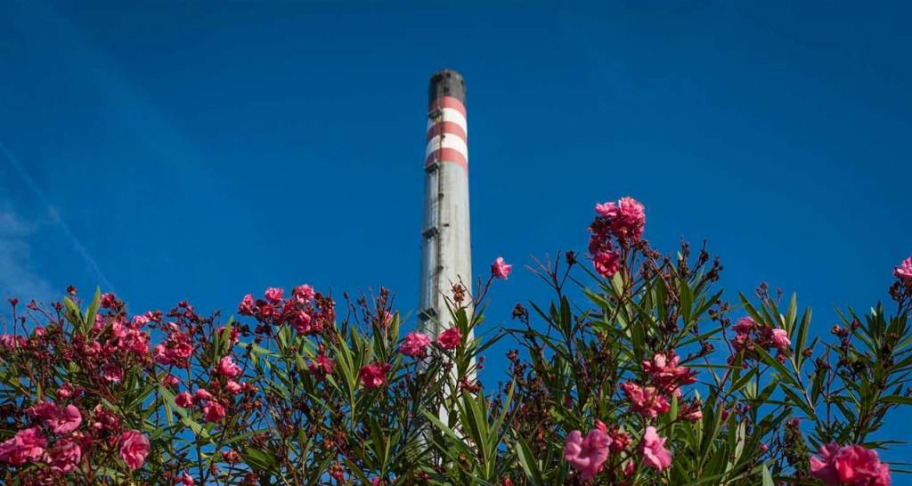 Flores y torre refinería de fondo
