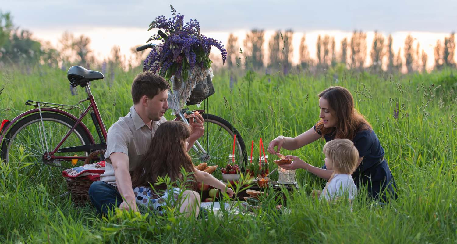 Una familia hace un picnic